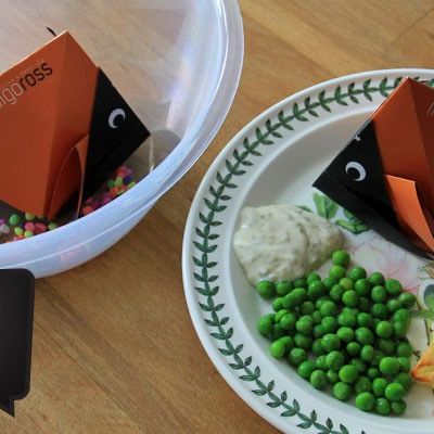 Origami Zoo – Part 1 Goldfish Winner!