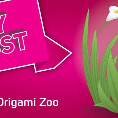 Origami Zoo with Indigo Ross