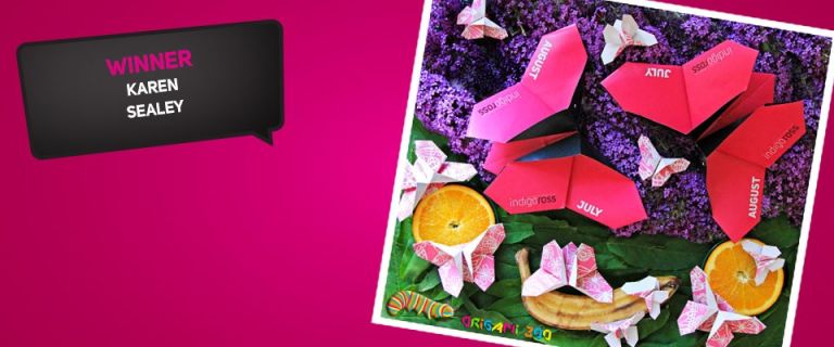 Origami Zoo with Indigo Ross