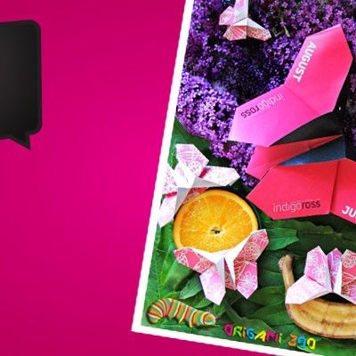 Origami Zoo with Indigo Ross