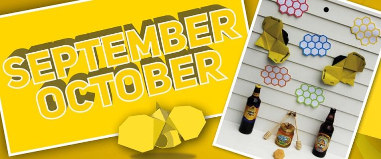 Origami Zoo with Indigo Ross