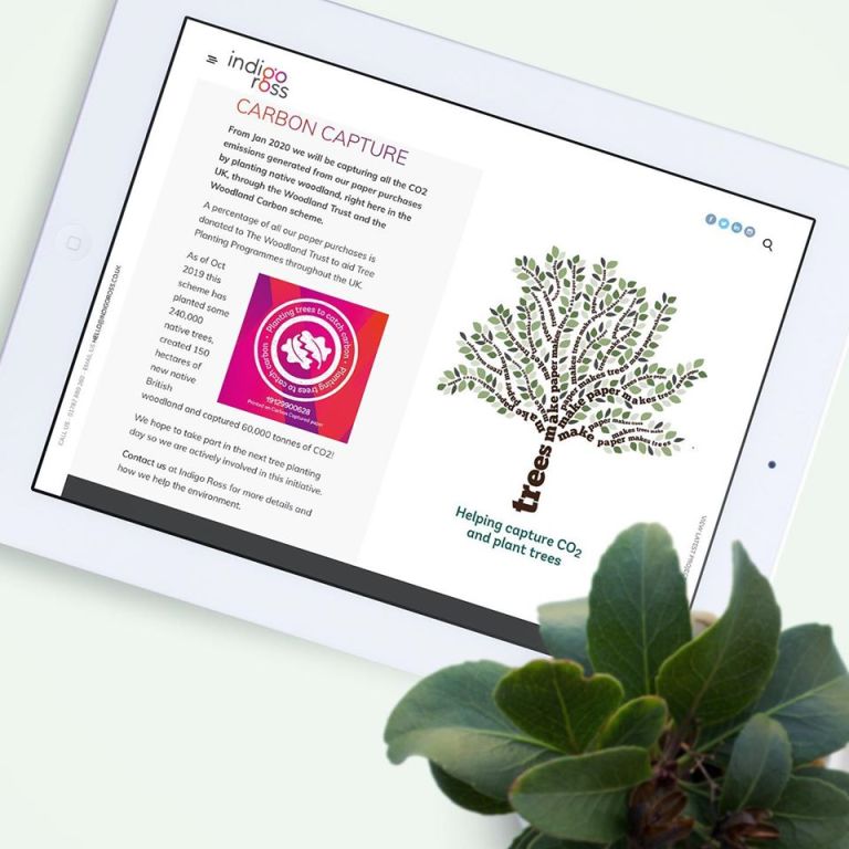 Helping capture co2 and plant trees