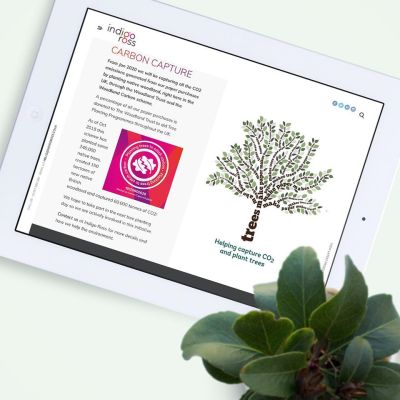 Helping capture co2 and plant trees