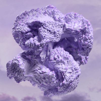 WGSN Lavender colour of the year