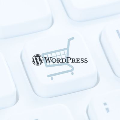 WordPress Logo