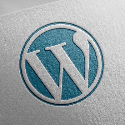 Wordpress Hosting and Support