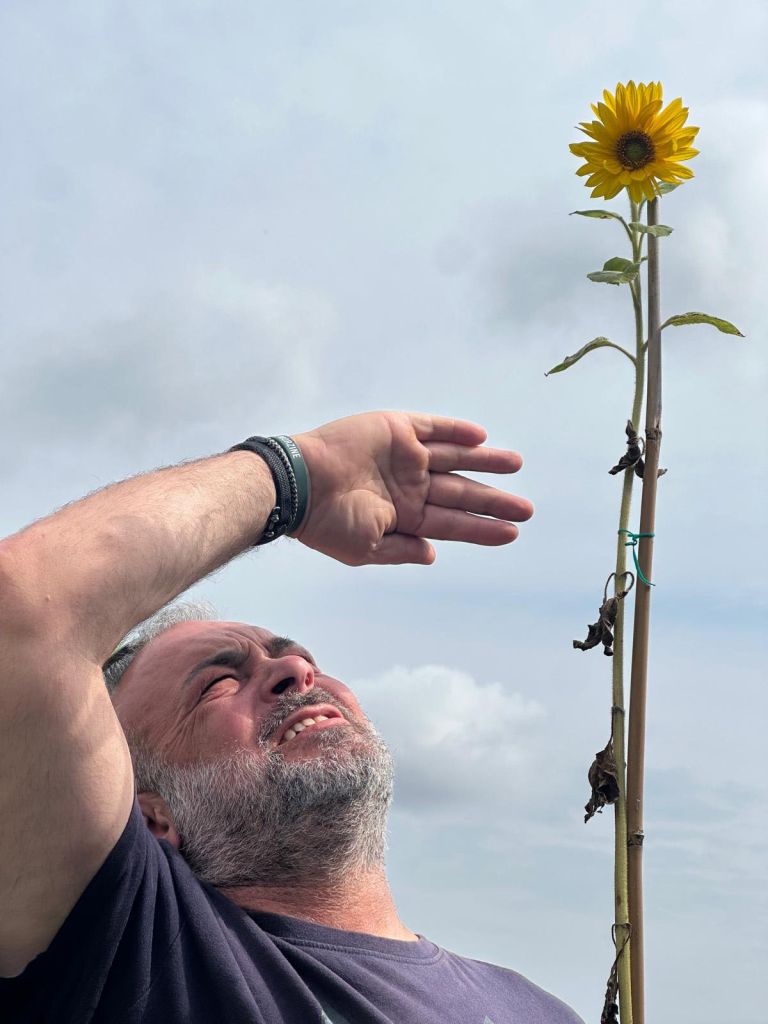 Indigo Ross Sunflower Growing Competition.
